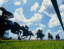 Kempton Park, inside rail