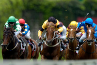 Kempton Park , racing 04