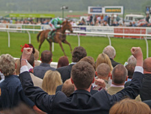 Kempton Park, winner